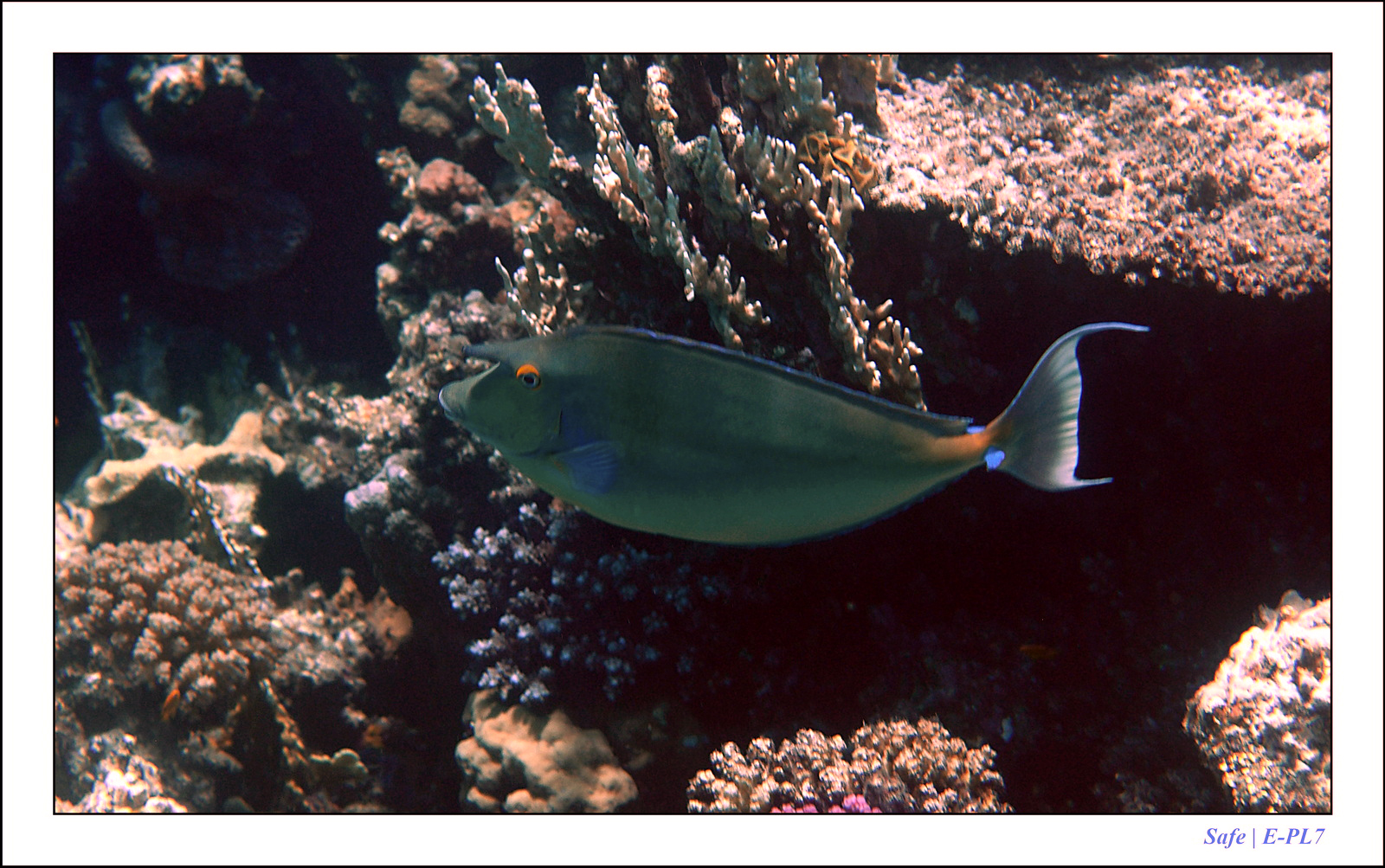 Hurghada - Juillet 2021 - 054